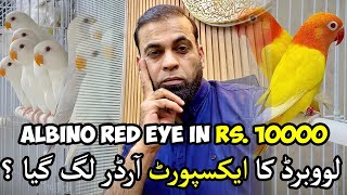 Kya Ab Red Eye Dobara 10000 me sale ho ga [upl. by Gyimah412]