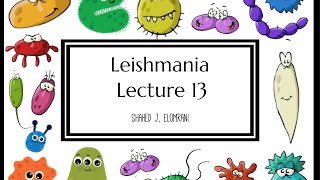 15 Leishmania [upl. by Odarnoc]