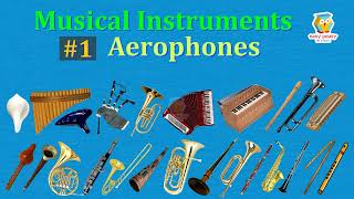 Aerophones 26 Musical Instruments with Pictures amp Sounds  Ethnographic Classification viral [upl. by Cacilia]