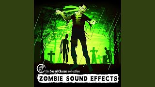 Undead Droning Moan Zombie Sound Effect [upl. by Orlena]