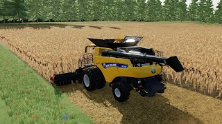 FS22 La fameuse NH CR10 90 No mans land [upl. by Rhpotsirhc]