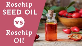 Difference Between Rosehip and Rosehip Seed Oil What You Should Know [upl. by Atoiyanap]