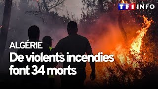 Algérie  34 morts dans de violents incendies les températures ont grimpé jusquà 48°C [upl. by Irrep]