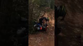 Ab in die Hecke🌲😂 motovlog bike [upl. by Nnire]