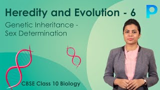 Genetic Inheritance  Sex Determination [upl. by Chuch]