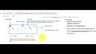 COUNTER CURRENT IMMUNOELECTROPHORESIS [upl. by Ange]