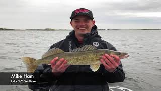 Dakota Angler 2Minute Fishing Report 51618 [upl. by Ahseid]