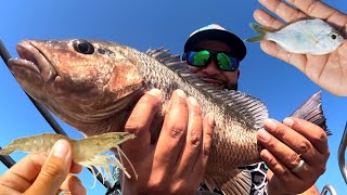 JETTY AND BRIDGE Fishing Packery channel with live SHRIMP and MOJARRA Catch and Cook [upl. by Ziwot]