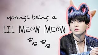 yoongi being a lil meow meow 🐾🐾 [upl. by Eytteb]