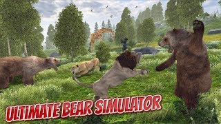 🐻Ultimate Bear SimulatorBy Yamtar GamesAndroid [upl. by Aronson178]