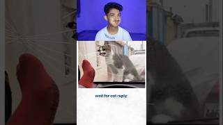 Try Not to Laugh Challenge 91🤣 funny shorts viral [upl. by Merill]