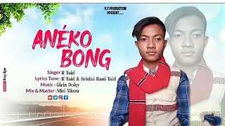 Anéko Bong new mising official song 2024  R Taid [upl. by Gish]