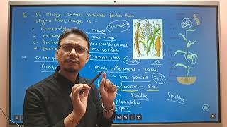 CEE 2081 MEMORY BASED QUESTIONS Part 12 UNIT DEVELOPMENTAL AND APPLIED BOTANY [upl. by Martres487]