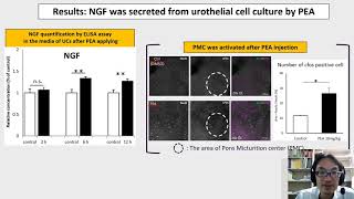 277 Fatty acid metabolite Palmitoylethanolamide increases nerve growth factor excretion and i [upl. by Hpseoj]