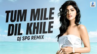 Tum Mile Dil Khile Remix  DJ SPG  Criminal  Nagarjuna Akkineni  Manisha Koirala [upl. by Weaks]