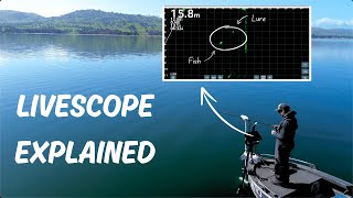 LiveScope Murray Cod Fishing  How to Settings Setup and Tactics Explained [upl. by Chlori]