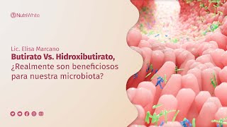 Butirato Vs Hidroxibutirato ¿Realmente son beneficiosos para nuestra microbiota [upl. by Tarr]