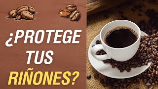 ¿Es el Café bueno para tus Riñones ☕️ Esto Dice la Ciencia [upl. by Dodge]