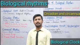 173 Biological Rhythms  Biological Clock  Circadian Rhythms  Circannual Rhythms  12 Class [upl. by Eeram743]