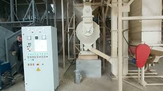 sawdust and feed pellet press [upl. by Dietrich951]