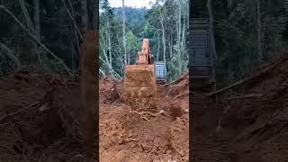 Ekskavatör ile Piton yakaladı😱 sinantektas ismakinalari excavator [upl. by Ekralc]