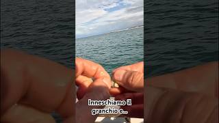 Bolognese quotpesantequot fishing pesca bolognese [upl. by Toogood]