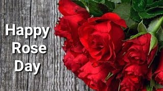 🌹Happy Rose Day 🌹  Happy Rose Day Wishes Quotes  Rose Day Status Video  Romantic Rose Day Quotes [upl. by Suehtomit]