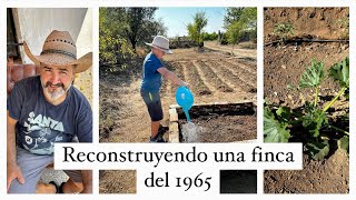 28 Reconstruyendo la finca en familia 🏡❤️🤩  ASÍ ESTÁN LOS POLLITOS 🐥 Novedad en la huerta 😜🌱🌺🏡❤️ [upl. by Brentt]