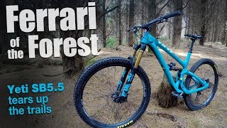 Ferrari of the Forest  testing Yetis SB55 Ep7 [upl. by Oyam]