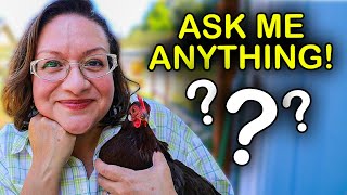 Your Backyard Chicken Questions Answered Mites Deep Litter Diarrhea and More [upl. by Margie]