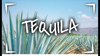 TEQUILA JALISCO 🥃 ► 3 LUGARES que debes VISITAR📍  VLOG SINPOSTAL [upl. by Ellerad852]