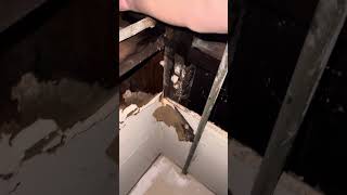 Emergency call for water coming down the front of a garage door Galvanized Pipe repair Part 1 [upl. by Harak]