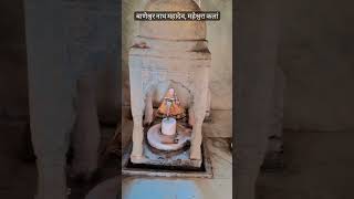 Baneshwar Nath Mahadev Maheshwara Kalan Dausa dausa rajasthan viralvideo trending shortvideo [upl. by Breed887]