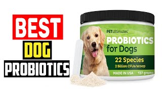 ✅Top 5 Best Dog Probiotics in 2024 [upl. by Refeinnej]