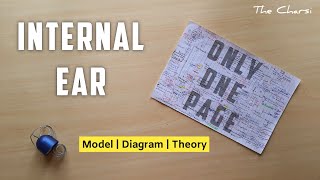 Internal Ear or Labyrinth  Part 1  Bony and Membranous labyrinth  One Page Chart amp Model  TCML [upl. by Innej]