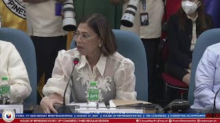 COMMITTEE ON APPROPRIATIONS  BUDGET BRIEFINGHEARINGS OF THE FY 2025 PROPOSED BUDGET OVP [upl. by Yvon156]