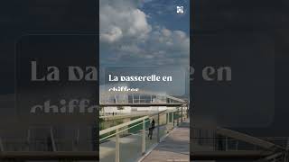 Zoom sur lavancée de la future passerelle Pierre Larousse [upl. by Holden]