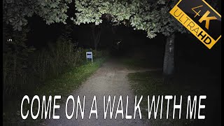 4K Denmark walking in a forest just before dark ASMR [upl. by Sager]