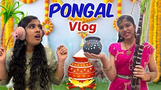 😍ENGA VEETU பொங்கல் CELEBRATION🌾🔥 Family Pongal Vlog😜  Ammu Times [upl. by Inot30]