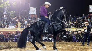 ⭐️CABALLOS BAILADORES EN LA FERIA 🎡 GANADERA DE CULIACÁN p1 [upl. by Ruperto]