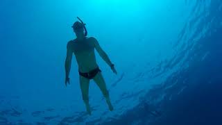 Freediving FFF Apneablue cz Dahab2018 [upl. by Haleemaj430]