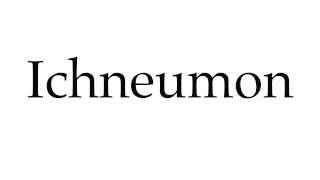 How to Pronounce Ichneumon [upl. by Anier]