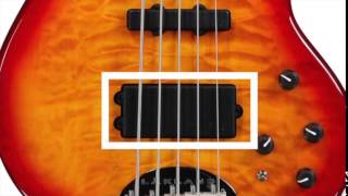 Lakland vs Precision vs Jazz vs StingRay [upl. by Amedeo]