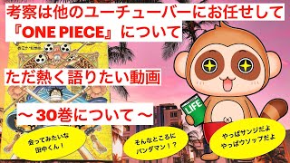 【考察】は他のユーチューバーにお任せして、【ONE PIECE】をただただ熱く語りたいんやーっ！ 〜 【30巻】について 〜「コニスが美しくてかっこいい」 [upl. by Occor]