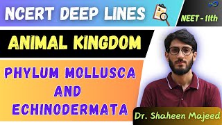 L10 Phylum Mollusca and Echinodermata  Animal Kingdom  11th  NEET  Dr Shaheen Sir [upl. by Cirtemed]