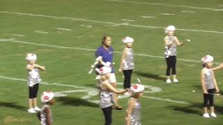 Haralson County  Manchester Georgia Half Time Show [upl. by Ylas]