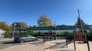 Toronto GO Commuter Trains at Level Crossings in Markham Ontario 10182024 [upl. by Malony]