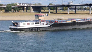 Binnenschiff Voluntas auf dem Rhein [upl. by Fried]