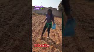 I am always working hard as a farm girl farmlife farmer farming zambia africa shorts [upl. by Trabue791]