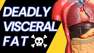 How to lose visceral fat What is visceral fat [upl. by Miguela226]